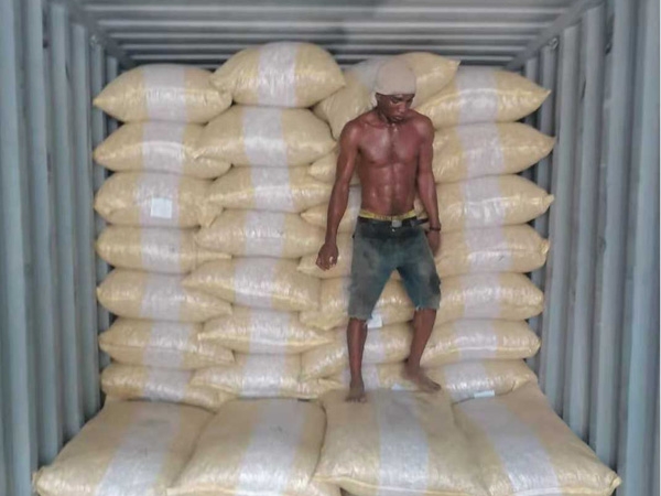 Sesame export project