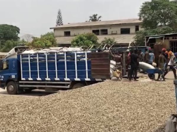 The cashew nut export project
